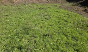 7771 ZOE Dr, Brookings, OR 97415