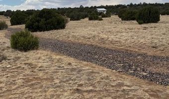 76 County Road 8010, Concho, AZ 85924