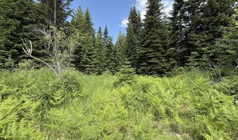 Tbd No Address Per Seller, Calder, ID 83808