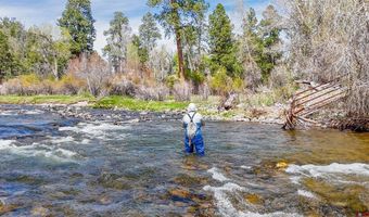 5775 CR 501, Bayfield, CO 81301