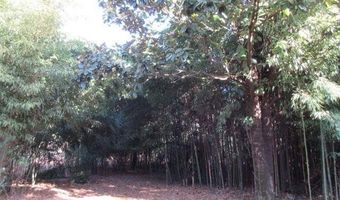 133 Holly Rd, Absecon, NJ 08201