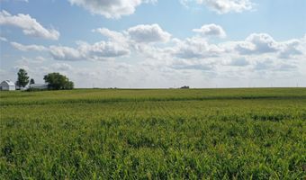 Marsh Avenue, Allison, IA 50602