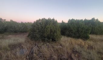 1 COUNTY ROAD N8155, Concho, AZ 85924