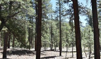 80 Ranch Rd, Bayfield, CO 81122