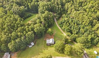 5580 MUD CREEK Rd, Adger, AL 35006