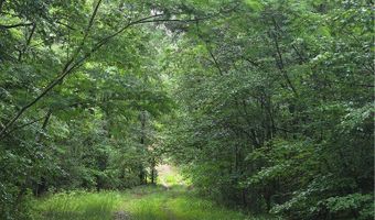 Jim Allred Road, Bankston, AL 35542