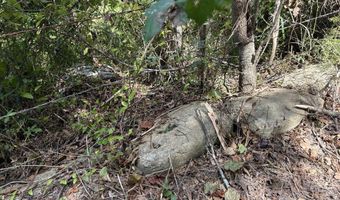 001 Farr Rd, Bolton, MS 39041