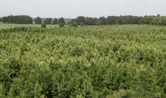 Copeland Ridge Road, Arkadelphia, AR 71923