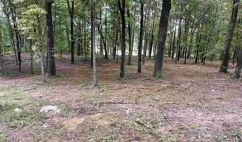 1 CENTURAS Cir 2, Alpine, AL 35014