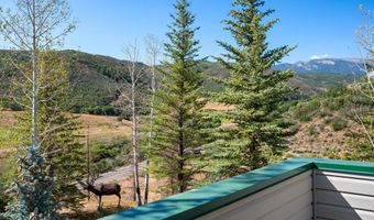 553 Brush Creek Rd, Aspen, CO 81611