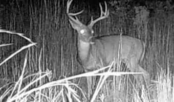 Off Hwy F, Annapolis, MO 63620