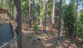 1908 Seminole Way, Arnold, CA 95223