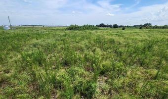 WEITA Road, Bartow, FL 33830