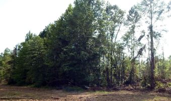 590 County Road 247, Bruce, MS 38915