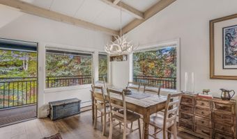 731 S Mill St 3A, Aspen, CO 81611