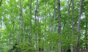 M22 Northwood Hwy, Arcadia, MI 49613