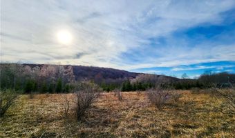 Quigg Hollow Road, Andover, NY 14806