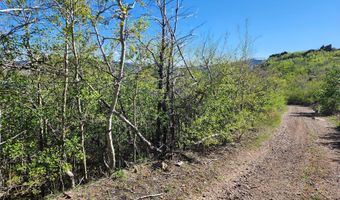 NHN Alpha Lode & Alpha Fraction Lode Alpha Trail, Anaconda, MT 59711
