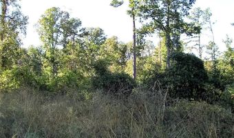160 LR 717, Ashdown, AR 71822
