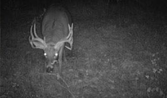 652 Nd St, Albia, IA 52531