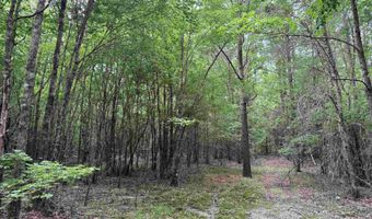 mt Olive Road, Arkadelphia, AR 71923