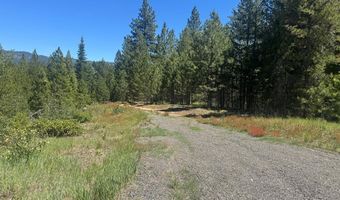 Saddle Rock Drive lot 19, Cascade, ID 83611