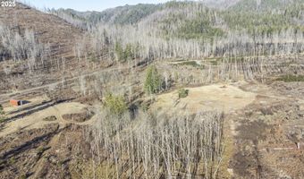 91747 BLUE RIVER RESERVOIR Rd, Blue River, OR 97413