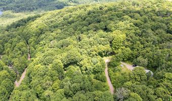 Timberland Drive, Andes, NY 13731