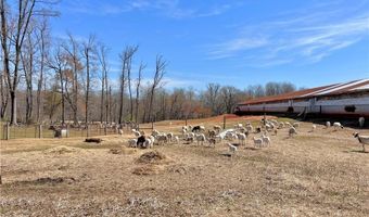 23381 Genito Rd, Amelia, VA 23002