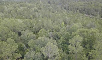 0 Highway 31, Bay Minette, AL 36507