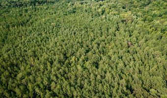 0 Center Dr Carolina Crk, Abbeville, SC 29620