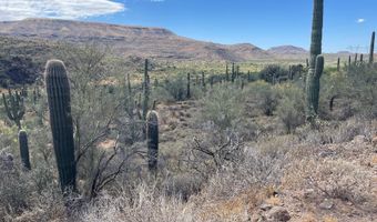 S Tillys Trail, Black Canyon City, AZ 85324