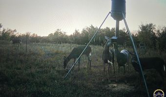 SW Davis RD, Auburn, KS 66402