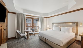 415 E Dean Unit 44a Week 9, Aspen, CO 81611
