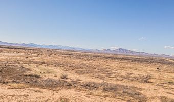 29 Rose Ln, Animas, NM 88020