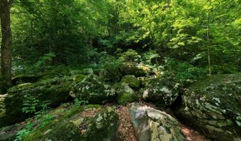 County Road 200, Alton, MO 65606