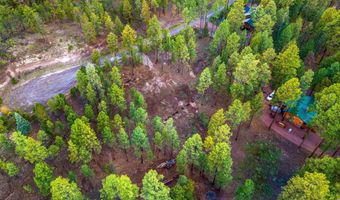 7 Eric Ln, Alpine, AZ 85920