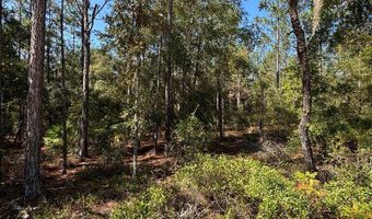 Lot 10 16th Ave, Bell, FL 32619