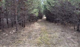 5280 Cathro Rd, Alpena, MI 49707