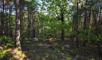 TR 21 & 22 PINE TREE TRAIL, Albion, OK 74571