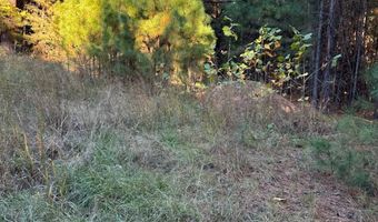 421041 E 1945 Ln, Antlers, OK 74523