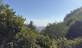 17264 MOUNTAIN Dr, Brookings, OR 97415