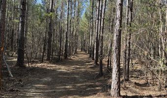 0 Markham Road Tract 4, Bradley, SC 29819