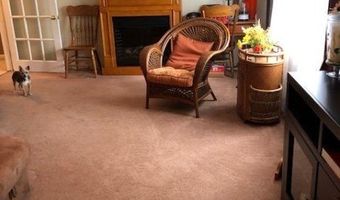 386 County Route 515, Alloway, NJ 07462