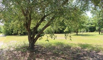 5929 Nichols Rd, Bascom, FL 32423