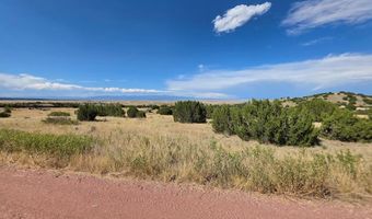 Pope Valley Ranch Rd lot 24, Beulah, CO 81023