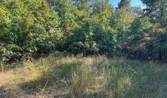 County Road 118, Annapolis, MO 63620