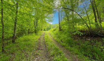 1361 Weaver Hollow Rd, Andes, NY 13731