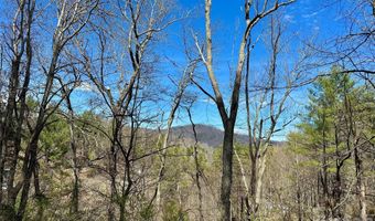 Mitchell Avenue, Bakersville, NC 28705