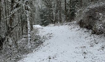 SE Rice Ln, Amity, OR 97101